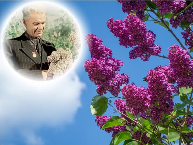 Леонид Колесников. Фото: pixabay.com