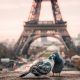 В Париже побит рекорд 1960 года из-за проливных дождей