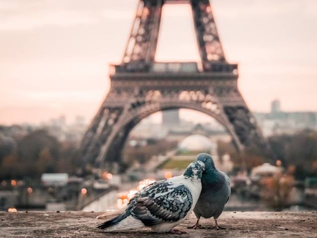 В Париже побит рекорд 1960 года из-за проливных дождей