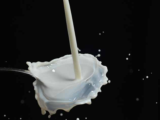 В России продолжаются проверки молока и другой молочной продукции