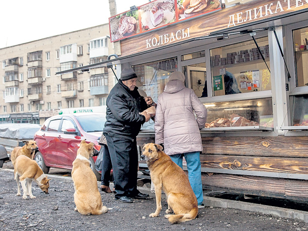 Англичане поражены интеллектом российских дворняг. Зарубежные СМИ придумывают тысяча и один способ очернить российский ЧМ-2018. До медведей на улицах дело не дошло - доверчивых соплеменников кормили развесистой клюквой иного плана