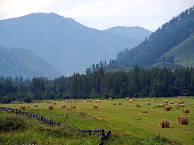Алтайские регионы заняли второе и третье места рейтинга по экологии