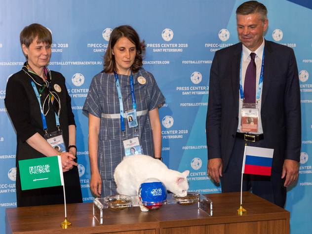 Кот Ахилл делает прогноз.