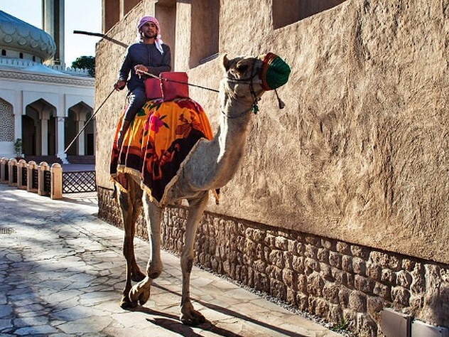 Роспотребнадзор предупредил российских туристов, которые собираются на отдых в ОАЭ, что нужно быть осторожными. В стране зафиксирована вспышка ближневосточного острого респираторного синдрома (MERS-CoV).