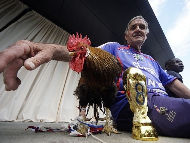 Сборная Франции по футболу встретилась с уральским петухом