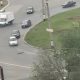 В Самарской области сняли на видео переходивших дорогу в нарушение правил утят