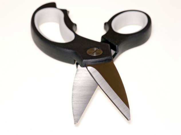 Японка не раскрыла секрет как ей удалось постричь собаку в виде шара.