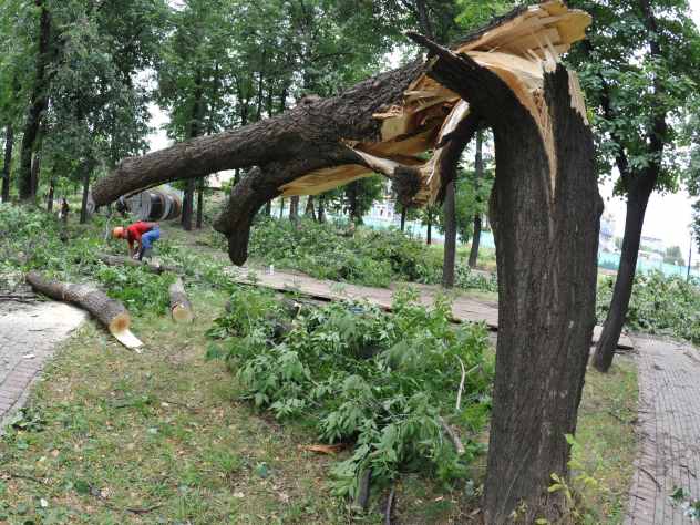 Начальник отдела краткосрочных прогнозов погоды и опасных явлений Гидрометцентра России Александр Голубев рассказал в беседе с корреспондентом EG.RU, к чему стоит готовиться в ближайшие дни жителям России. По его словам, из-за прохождения холодного атмосферного фронта через территорию Центрального Федерального округа здесь ожидается неблагоприятная погода.