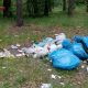 Японцы намерены убрать весь мусор в Волгограде