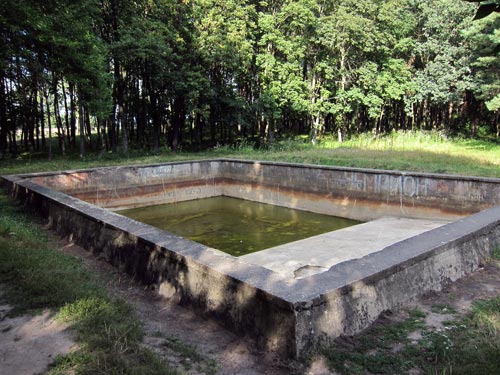 Прекрасно сохранившийся бассейн в центральной части Ставки. Фото: wikimedia.org