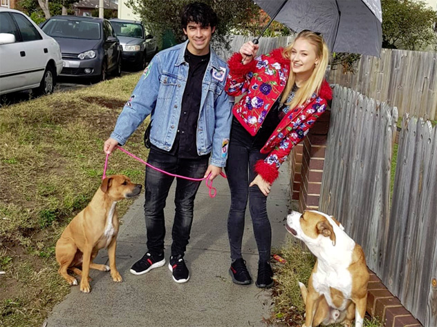 Пожениться Софи и Джо собираются после завершения съемок Тернер в восьмом сезоне культового сериала