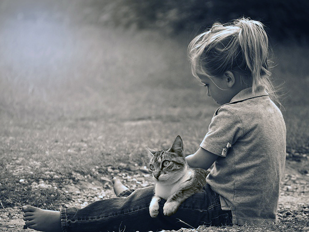 В ярославскую многодетную семью вернули пятерых детей, которые незаконно удерживались в социально-реабилитационном центре четыре месяца.