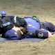 Щенок спас полицейского в Испании