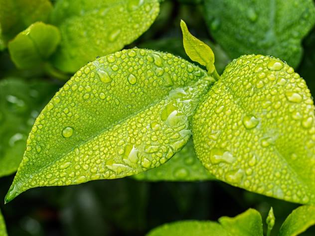 В столице жара сменится дождями