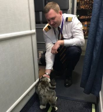 В аэропорту даже появилась своя традиция: елси басик на полосе перед взлетом, значит полет пройдет идеально.