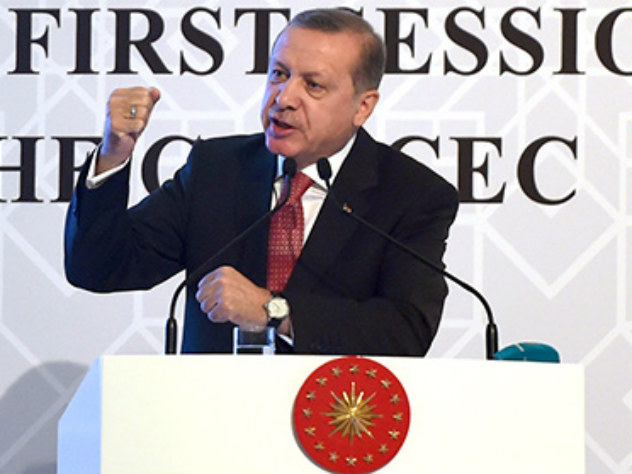 Эрдоган пригрозил Австрии "войной креста и полумесяца"