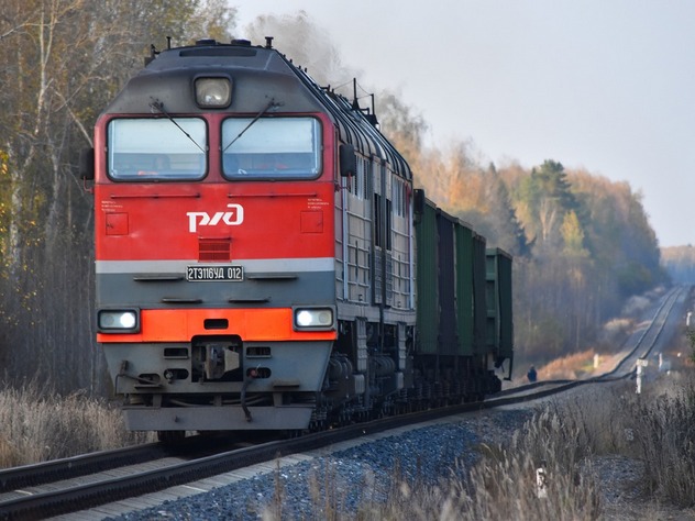 В Ростовской области школьник погиб под колесами тепловоза