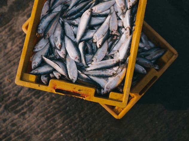 Сеть государственных рыбных магазинов появится в России. Над ее созданием работает предприятие «Национальные рыбные ресурсы».