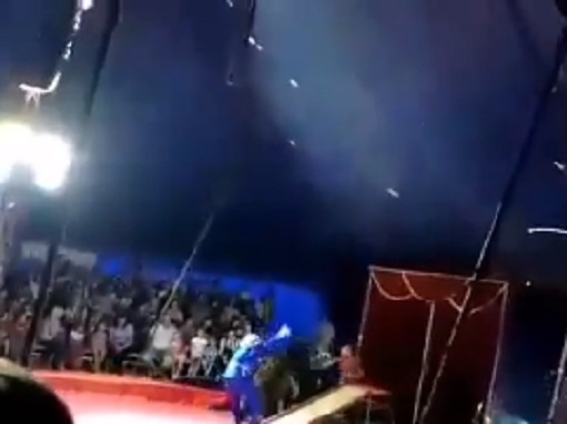 Цирковой медведь напал во вреям представления на дрессировщика. Аристы хотели заставить животное скатиться на доске, в качестве аргумента применяли палку. Разъяренное животное набросилось на одного из циркачей. На видео вино, что мужчина почти не пострадал, а вот медведея избили палками на глазах у детей. В Сети пользователи пишут, что аналогичная ситуация бывает почти на каждом преставлении в этом цирке.