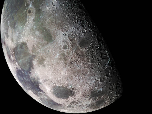 Ученые обнаружили жизнь на Луне