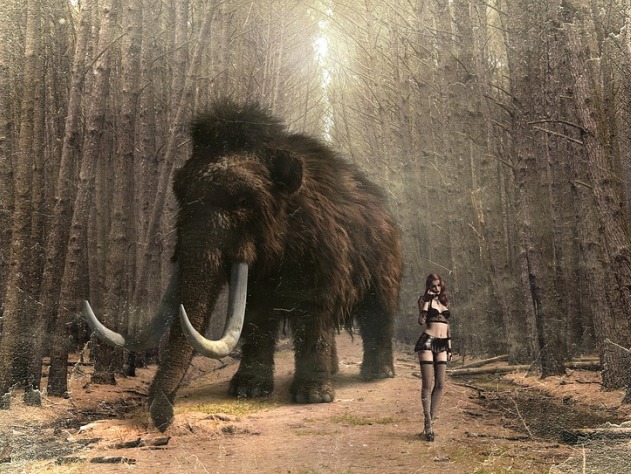 Мамонты в Крыму - редкое фото