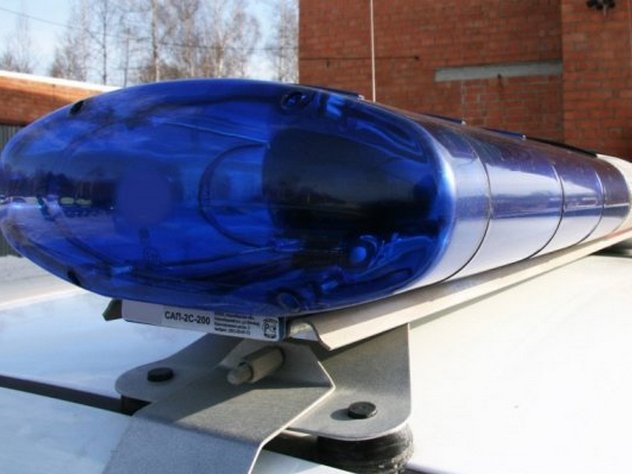 Россияне смогут регистрировать автомобили без посещения ГИБДД