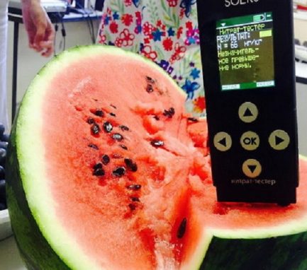 Ягода без нитратов 