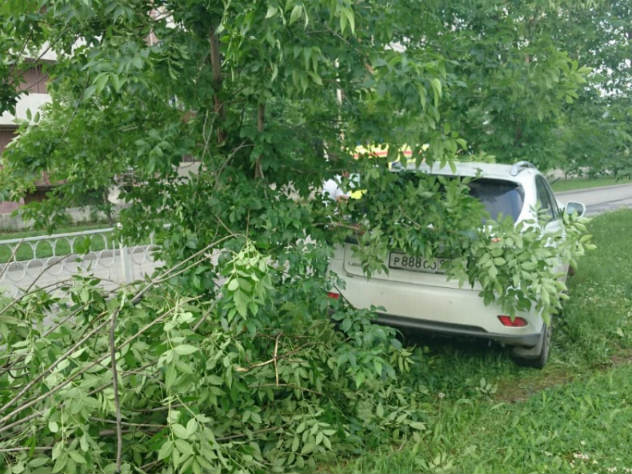 В Госдуме подготовлен законопроект, предусматривающий 20 лет тюрьмы за аварию со смертельным исходом