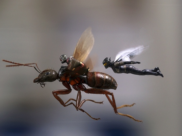 В новом фильме появится напарница - Оса.