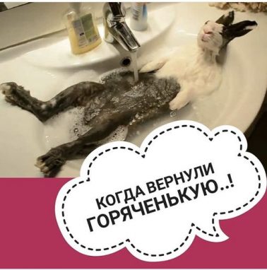 Мемы про отключение горячей воды