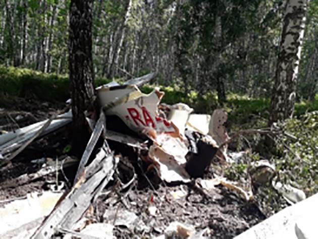 Самолет Cirrus упал в лесу на окраине Новосибирска