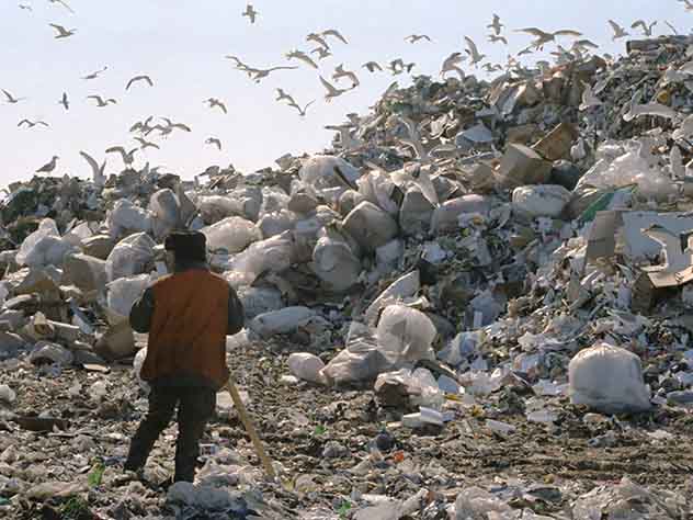 Заводы по переработке мусора отметят на онлайн-карте