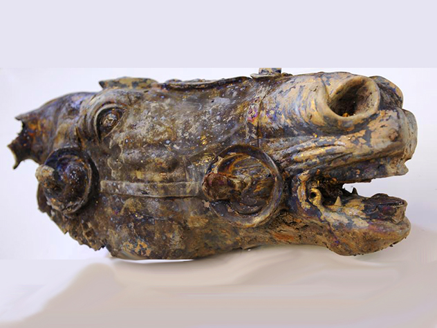 За артефакт, найденный на его земле, фермер из Германии получит 773 тысяч евро