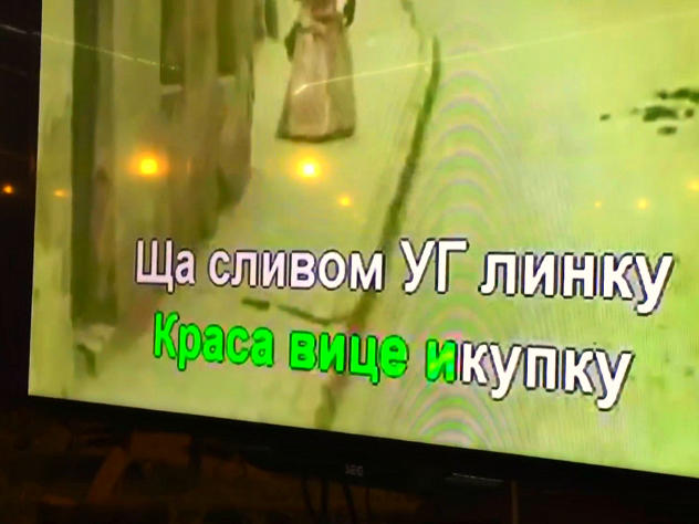 Новый текст песни Боярского довел в Турции российских туристок до истерики