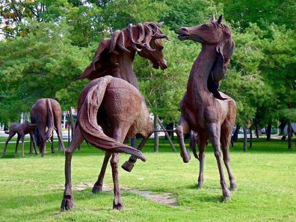 Коней из ростовского аэпорта увезли