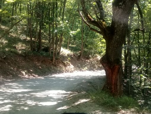 Крым, дорога к морю