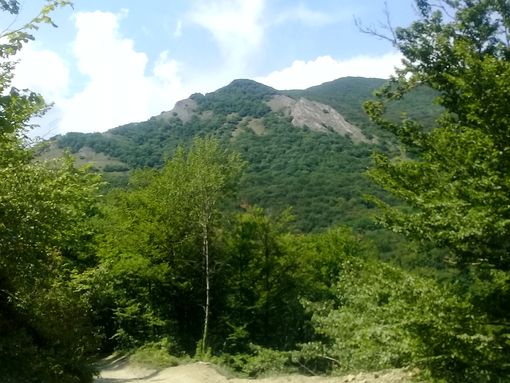 Дорога к побережью Крыма