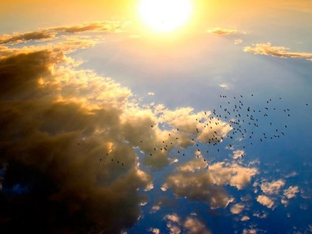 новейший российский беспилотник станет прототипом для истребителя