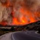 Пожар в Греции унес жизни более 70 человек