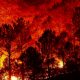 В результате пожаров в Греции погибло более 50 человек