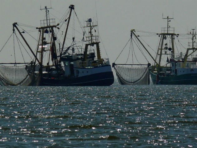 Больше 80 рыболовецких судов построят в России