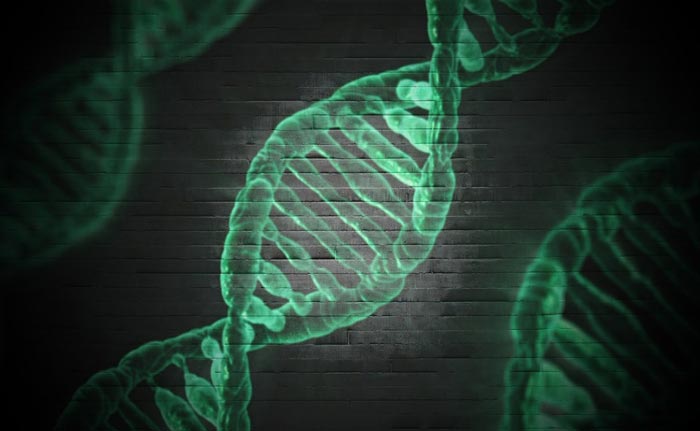 Фрагмент ДНК человека с генами. Источник: pixabay.com