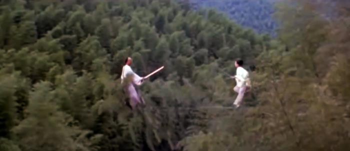 Сцена из китайского кинофильма «Крадущийся тигр, затаившийся дракон». Кадр youtube.com