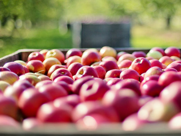 Специалисты рассказали, как правильно выбирать явлоки