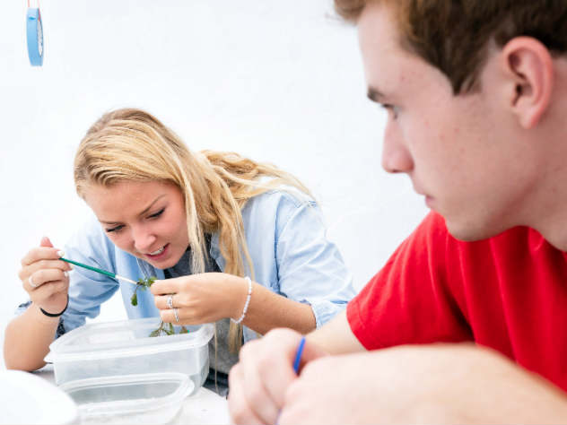 Самая эффективная диета по мнению ученых