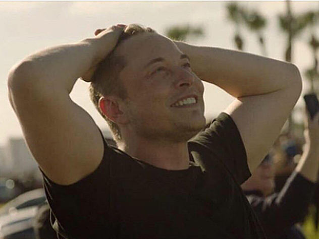 Илон Маск поделился трогательной фотографией со своими любимыми питомцами