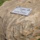 Памятный камень в честь погибшего в авиакатастрофе массажиста «Локомотива» снесли в Ярославле