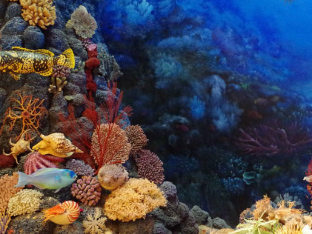 В карибском море нашли "корабль пришельцев"