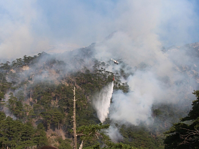 В тушении крупного пожара под Ялтой задействовали самолет и три вертолета