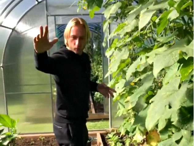 Плющенко показал урожай перчиков и помидорчиков в своей теплице
